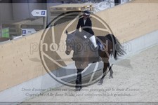 ref. photo 3412512