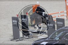 ref. photo 3412520