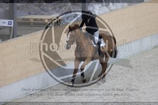 ref. photo 3412541