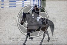 ref. photo 3412585