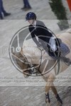 ref. photo 3412605