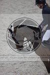 ref. photo 3412623