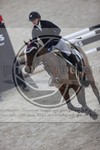 ref. photo 3412647