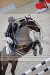 ref. photo 3412650
