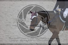 ref. photo 3412655
