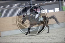 ref. photo 3412663