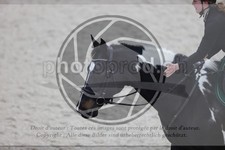 ref. photo 3412695