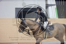 ref. photo 3412704