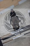 ref. photo 3412710