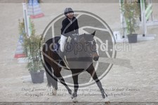 ref. photo 3412716