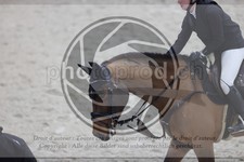 ref. photo 3412727