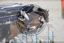 ref. photo 3412739