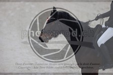 ref. photo 3412766