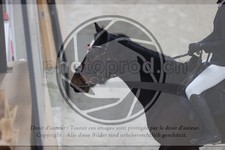 ref. photo 3412767