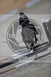 ref. photo 3412811