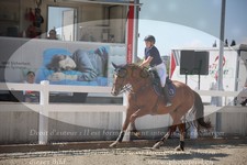 ref. photo 3279547