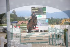 ref. photo 3279705
