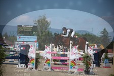 ref. photo 3280234