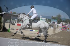 ref. photo 3280323