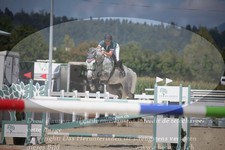 ref. photo 3280403
