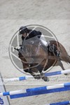 ref. photo 3412841
