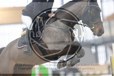 ref. photo 3412871