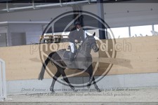 ref. photo 3412873