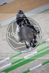 ref. photo 3412876