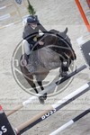 ref. photo 3412879