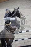 ref. photo 3412880