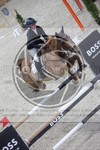 ref. photo 3412894