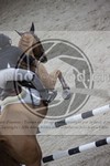 ref. photo 3412895