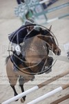 ref. photo 3412904