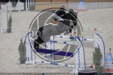 ref. photo 3412947