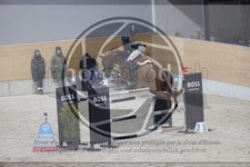 ref. photo 3412950