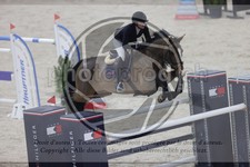 ref. photo 3412965
