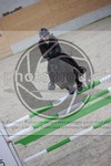 ref. photo 3412991