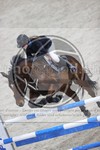 ref. photo 3412998