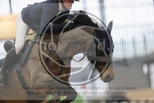 ref. photo 3413031