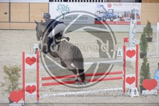 ref. photo 3413041