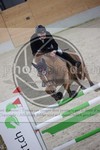 ref. photo 3413057