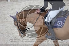 ref. photo 3413061