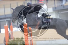 ref. photo 3413075