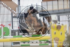 ref. photo 3413076