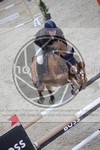 ref. photo 3413084