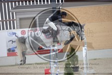ref. photo 3413088