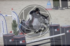 ref. photo 3413097