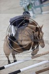 ref. photo 3413115