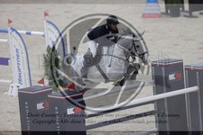 ref. photo 3413122