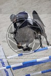 ref. photo 3413133